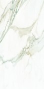 CLA-Gold-1-600x1204
