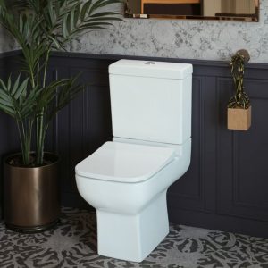 Λεκάνη wc set icc 5583p Dante compact 55cm Hover Image