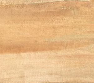 Πλακάκι γρανίτης δαπέδου τύπου ξύλου RIBERA BEIGE15,3x59cm